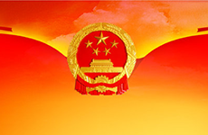 乘百舸争流之势 续中华民族之魂——国航远洋主题团日活动